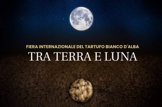 Alba travel guide International Alba White Truffle Fair