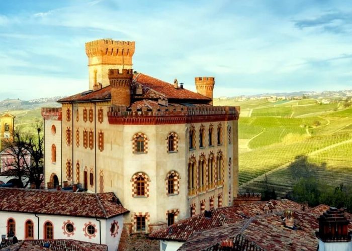 Barolo Castle wine tour