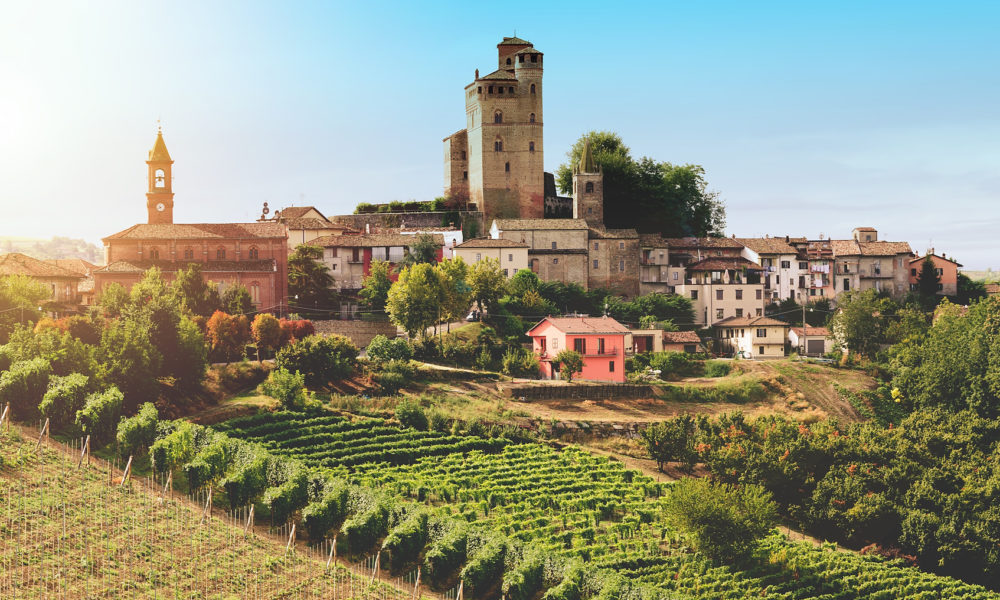 Medieval castle and vineyard