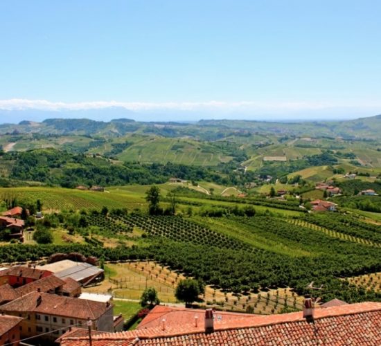 Diano D'Alba Langhe Piedmont region