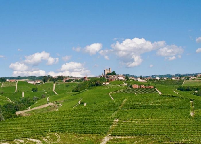 Landscape of Serralunga d'Alba