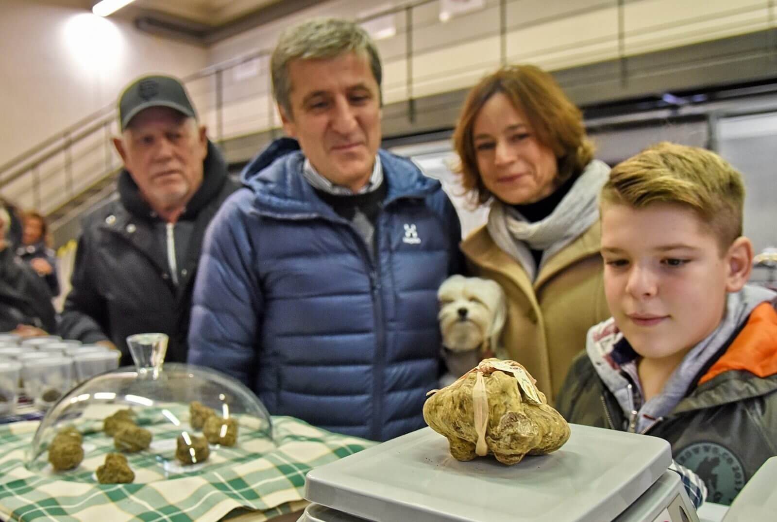 white truffle found in Asti countryside