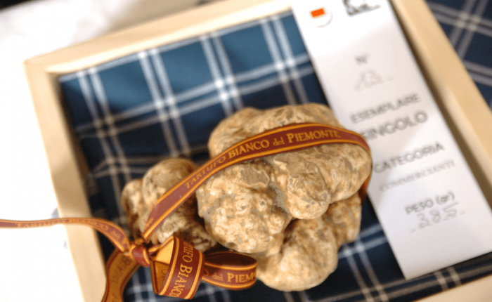 white truffle from piedmont moncalvo