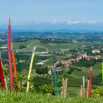 castagnole lanze wine tours