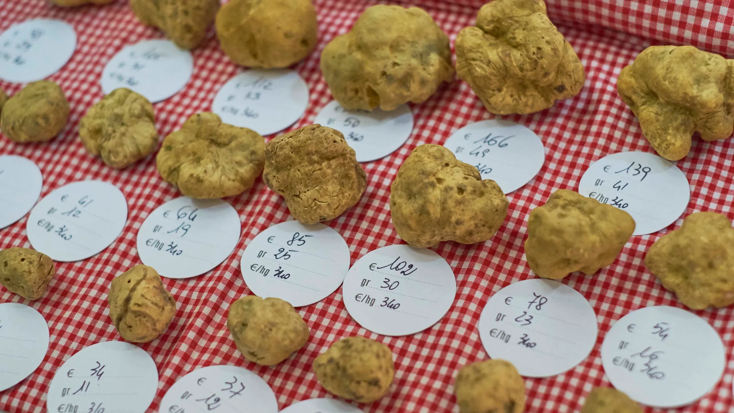Why is Italian white Alba truffle expensive